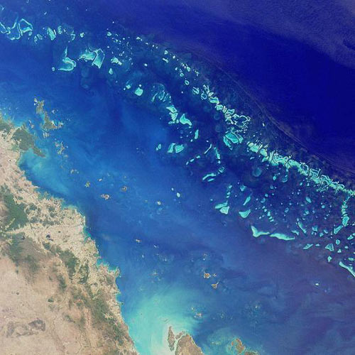 Earth from Above answer: BARRIER REEF