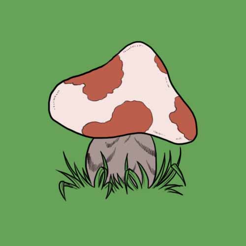 Fairy Tales answer: TOAD STOOL
