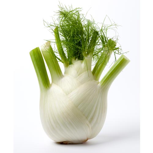 F is for... answer: FENNEL