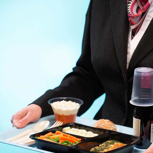 Holidays answer: AIRLINE MEAL