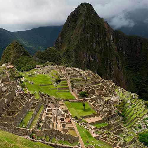I is for... answer: INCAS