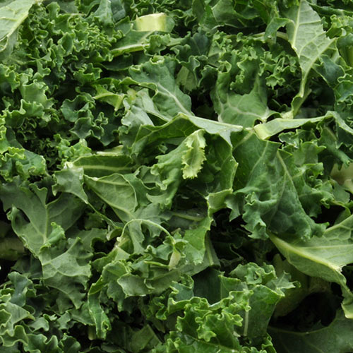 K is for... answer: KALE