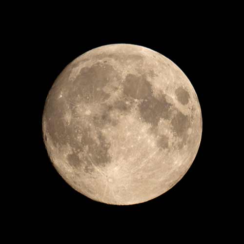 Nature answer: FULL MOON