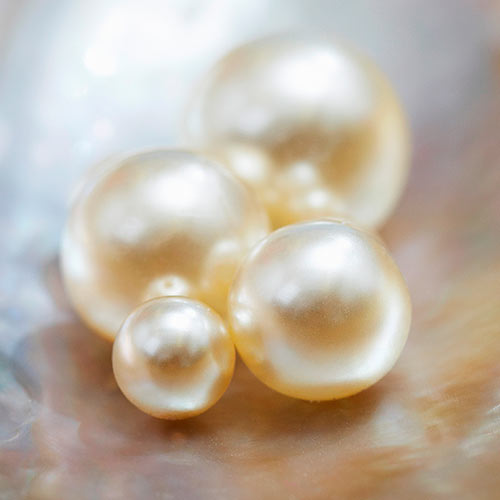 Nature answer: PEARLS