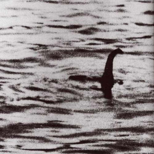 N is for... answer: NESSIE