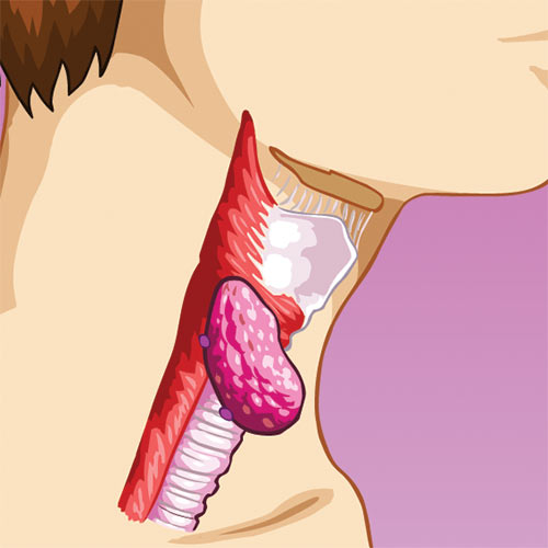 O is for... answer: OESOPHAGUS