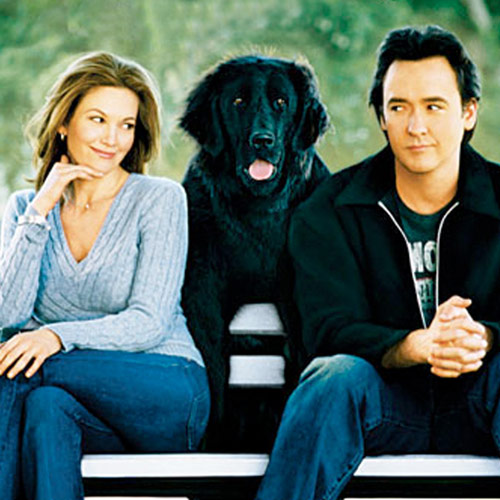 Rom-Coms answer: MUST LOVE DOGS