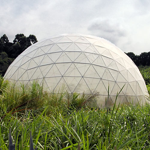 Science answer: GREENHOUSE