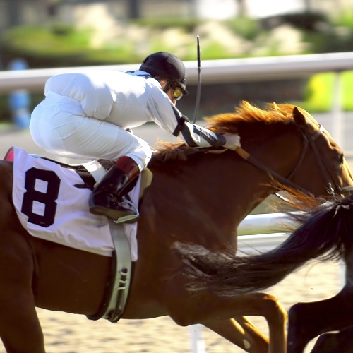 Sports answer: HORSE RACING