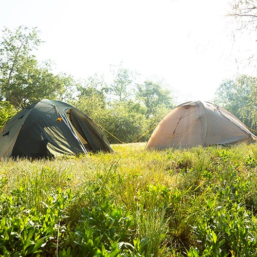Spring answer: CAMPING