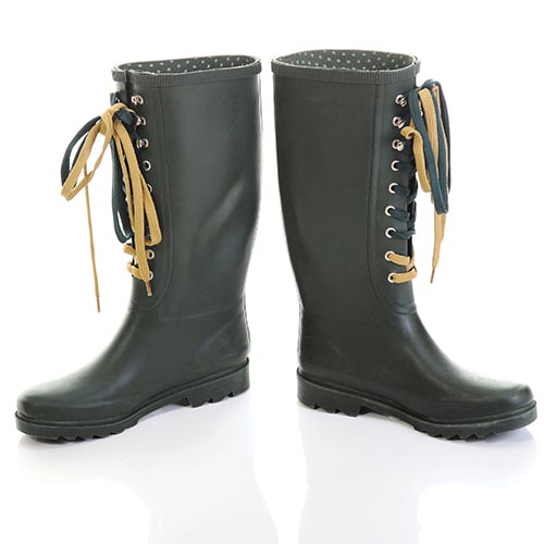 Spring answer: WELLINGTONS