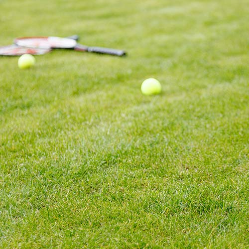 Tennis answer: LAWN TENNIS