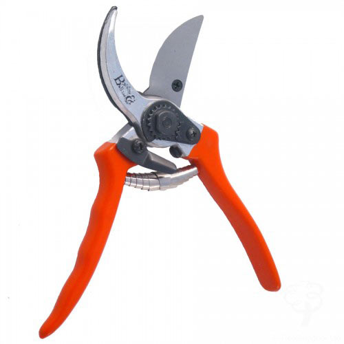 Toolbox answer: SECATEURS