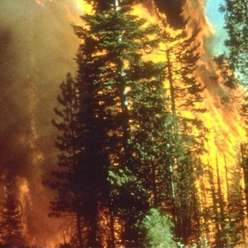 Weather answer: WILDFIRE