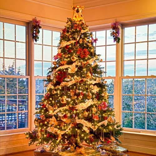 Navidad answer: TREE
