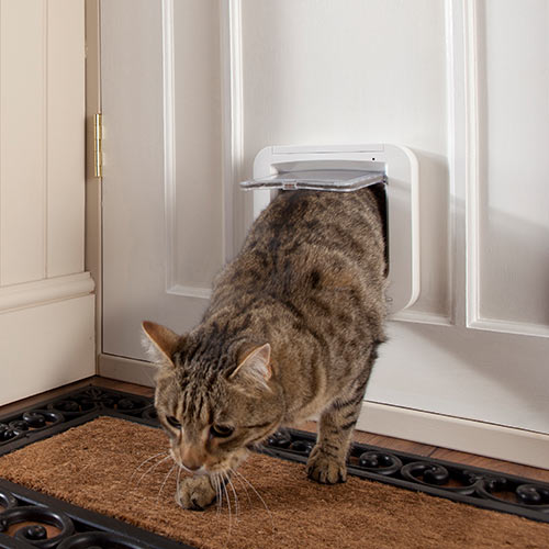 Around the House answer: CATFLAP