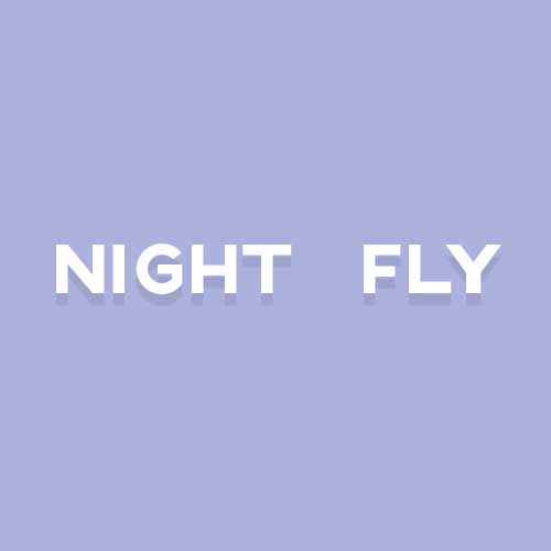 Catchphrases 3 answer: FLY BY NIGHT
