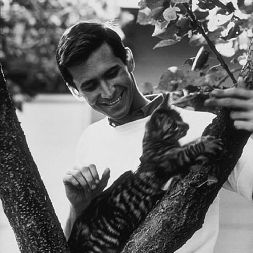 Cat Lovers answer: ANTHONY PERKINS