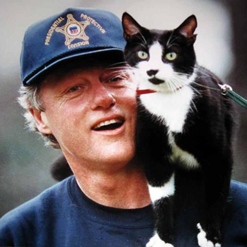 Cat Lovers answer: BILL CLINTON