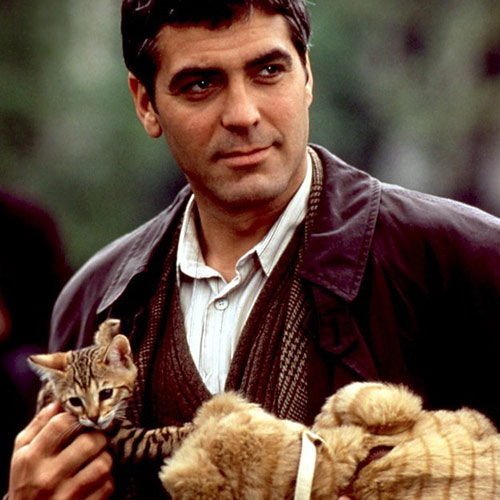 Cat Lovers answer: GEORGE CLOONEY