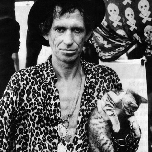 Cat Lovers answer: KEITH RICHARDS