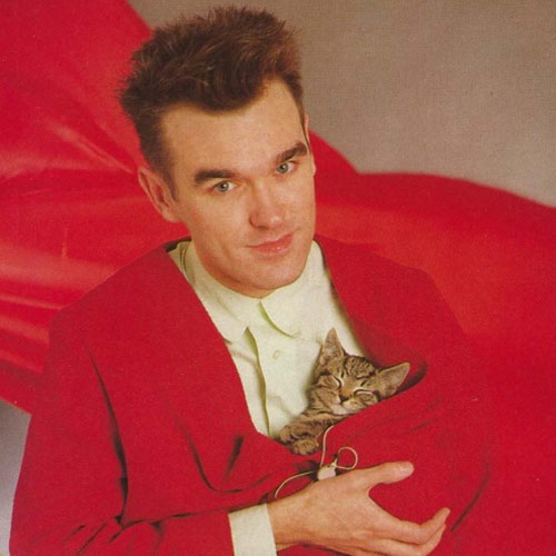 Cat Lovers answer: MORRISSEY