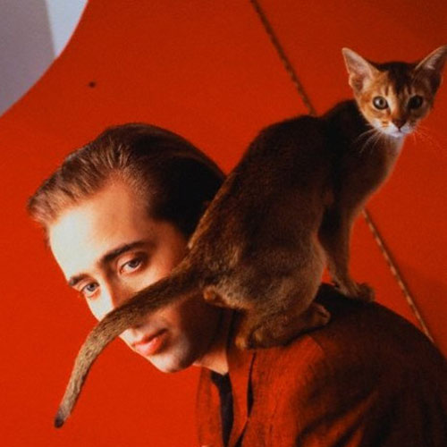 Cat Lovers answer: NICHOLAS CAGE