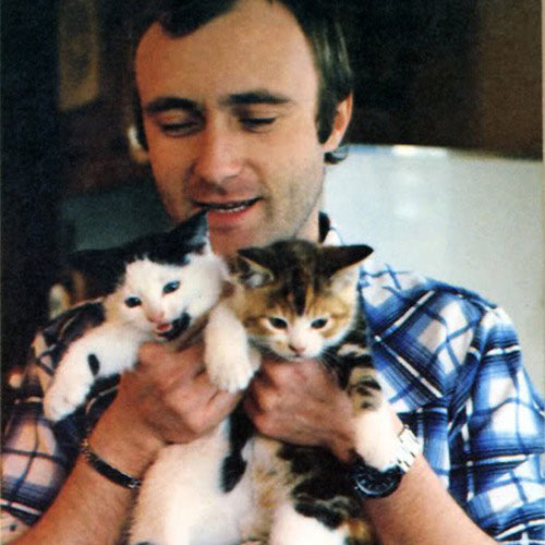 Cat Lovers answer: PHIL COLLINS
