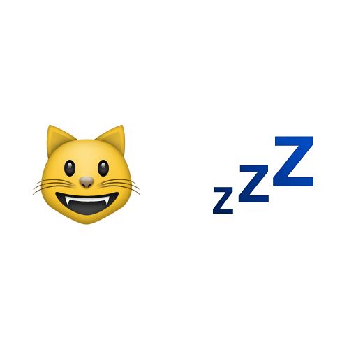Emoji 2 answer: CAT NAP