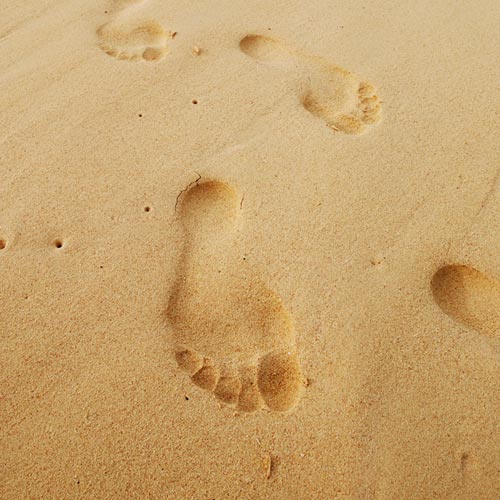 F is for... answer: FOOTPRINTS