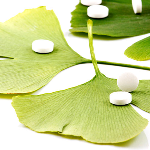 G is for... answer: GINKGO BILOBA