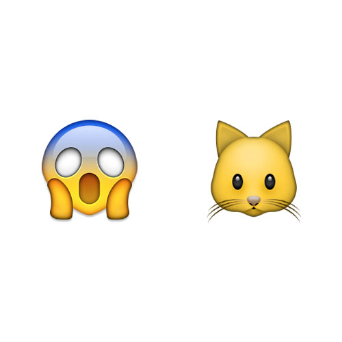 Halloween Emoji answer: SCAREDY CAT