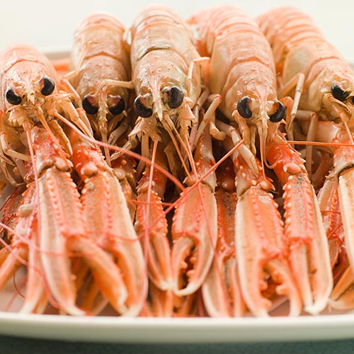 L is for... answer: LANGOUSTINES