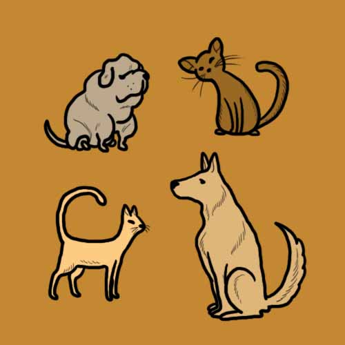 Movie Puzzles answer: CATS AND DOGS