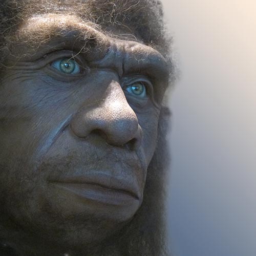 N is for... answer: NEANDERTHAL