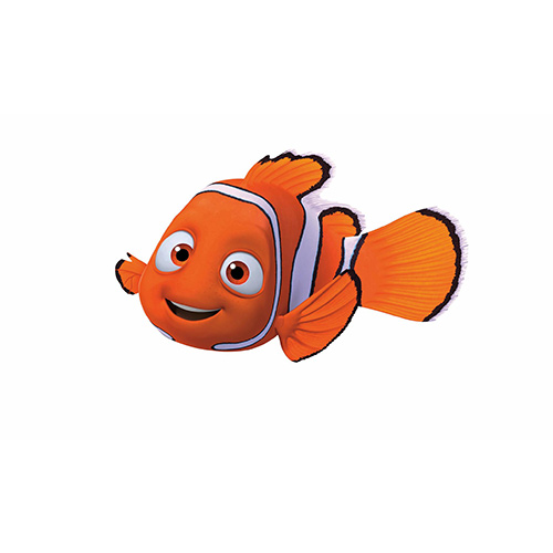 N is for... answer: NEMO