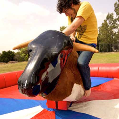 Party answer: MECHANICAL BULL
