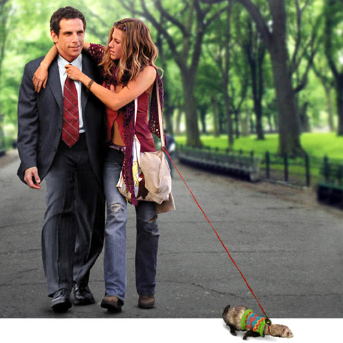 Rom-Coms answer: ALONG CAME POLLY