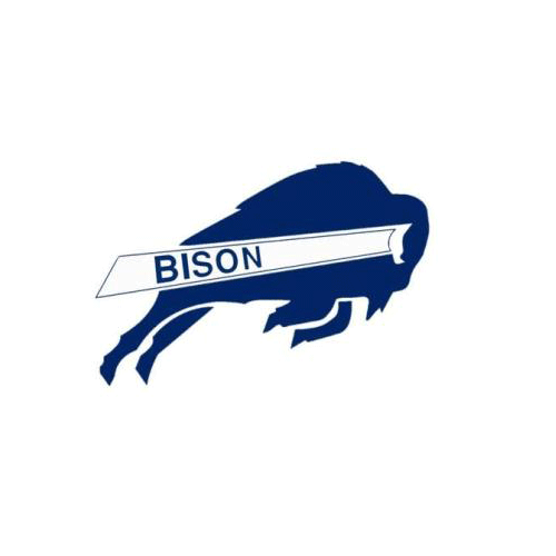Sports Logos answer: BISON