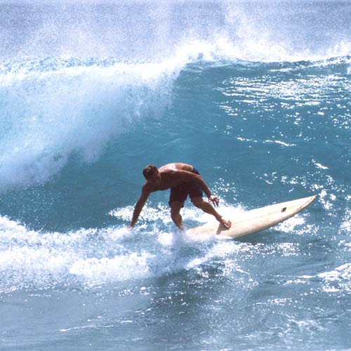 Cose da fare answer: SURF