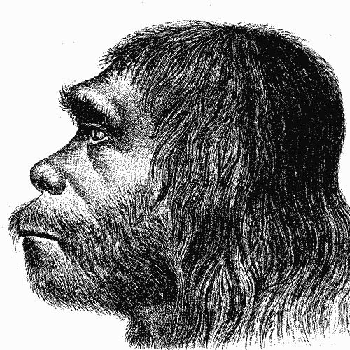 Science answer: NEANDERTHAL